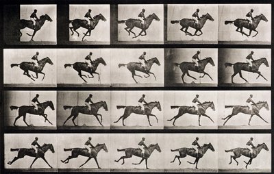 Jockey em um cavalo galopando, placa 627 de &39;Animal Locomotion&39;, 1887 de Eadweard Muybridge